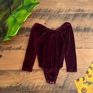 Bailey’s Blossoms long sleeve velvet leotard 3T. Great condition.